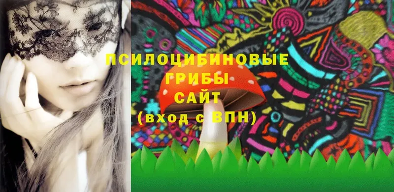 Галлюциногенные грибы Magic Shrooms  купить наркотик  Подпорожье 